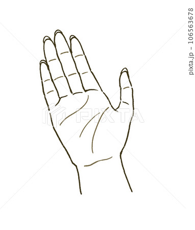 ビューティー　女性の手のひらのイラストレーション 106563678