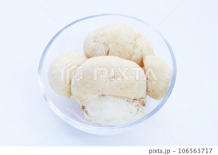 Fresh lion's mane mushroom on white background. 106563717