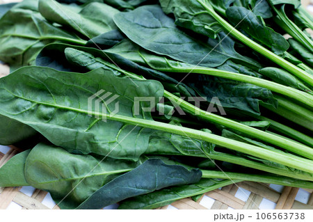 Fresh spinach in bamboo weaves plate Fresh spinach in bamboo weaves plate 106563738