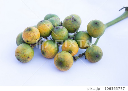 Betel nuts on white background. Betel nuts on white background. 106563777