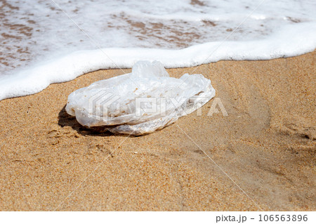Plastic bag pollution on the beach Plastic bag pollution on the beach 106563896