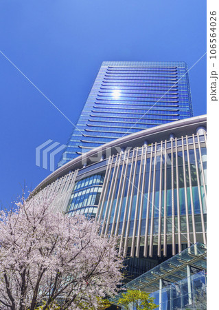 青空に映えるグランフロント大阪と満開の桜 106564026