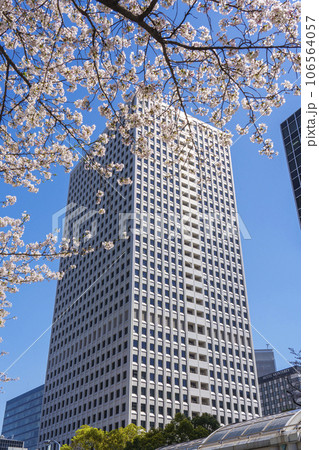 満開の桜に包まれた大阪駅前第3ビル 満開の桜に包まれた大阪駅前第3ビル 106564057