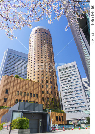 満開の桜に包まれた大阪マルビル 満開の桜に包まれた大阪マルビル 106564060