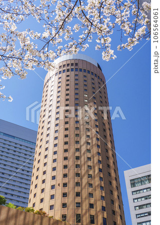満開の桜に包まれた大阪マルビル 106564061