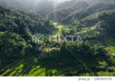 Rice terraces in rural forest with evening light,paddy field 106564195
