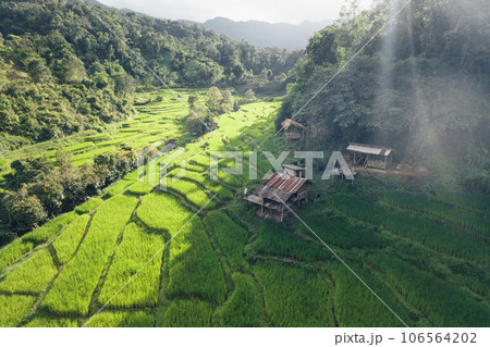 Rice terraces in rural forest with evening light,paddy field 106564202
