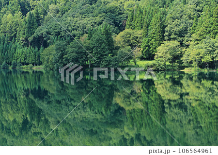 緑に染まる夏の中綱湖 106564961