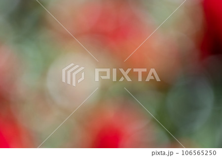 バラの花のイメージのぼかし背景 106565250
