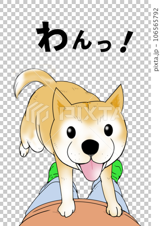 Shiba Inu dog dog! Pet walk owner Shiba Inu dog dog! Pet walk owner 106565792