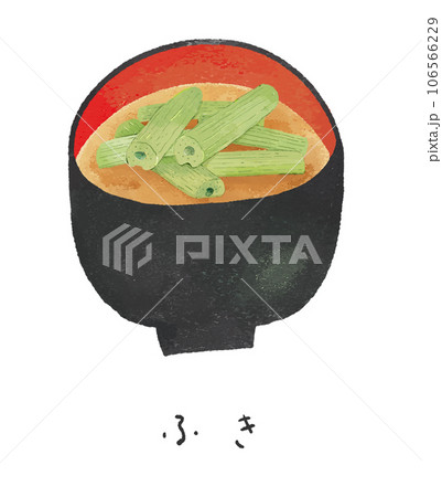 フキの味噌汁 ふき 蕗 ／ 美味しい食べ物イラスト 106566229