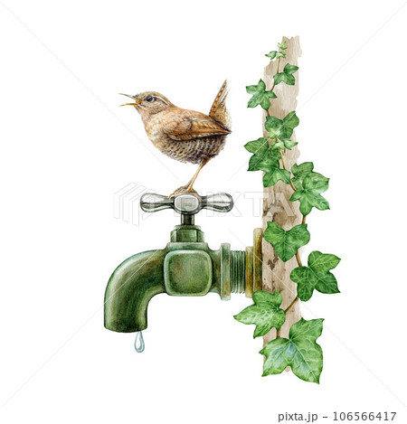Garden bird came for a drink on a vintage style metal water tap. Watercolor illustration. Hand painted thirsty wren on a garden metal faucet ivy covered. Cute wildlife nature scene. White background Garden bird came for a drink on a vintage style metal water tap. Watercolor illustration. Hand painted thirsty wren on a garden metal faucet ivy covered. Cute wildlife nature scene. White background 106566417