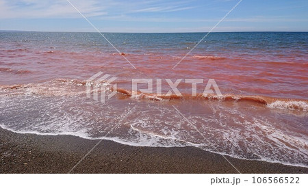 赤潮　ピンクの海　1 106566522