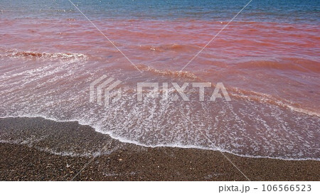 赤潮 ピンクの海 2 赤潮 ピンクの海 2 106566523
