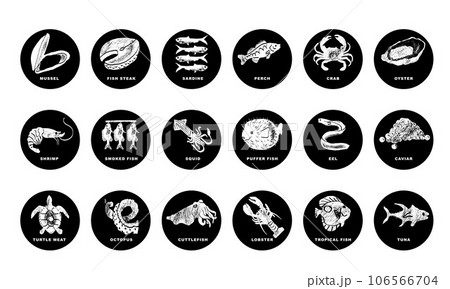 Fishes, arthropods and seafood in a abstract draw design. Simple, flat design. Patterns and backgrounds. Fishes, arthropods and seafood in a abstract draw design. Simple, flat design. Patterns and backgrounds. 106566704