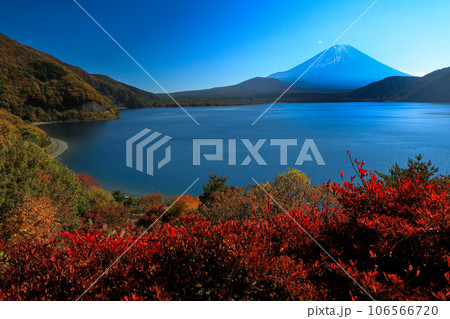 錦秋の本栖湖から望む富士山　山梨県 106566720