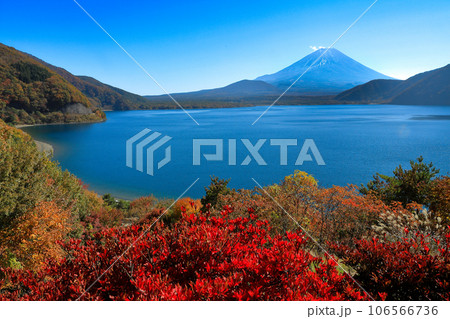 錦秋の本栖湖から望む富士山　山梨県 106566736