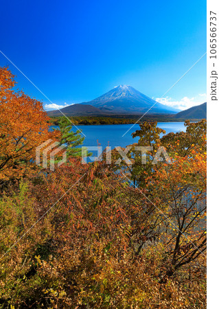錦秋の本栖湖から望む富士山 山梨県 錦秋の本栖湖から望む富士山 山梨県 106566737