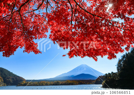 秋の風景 もみじ紅葉の精進湖畔から望む子抱富士 山梨県 秋の風景 もみじ紅葉の精進湖畔から望む子抱富士 山梨県 106566851