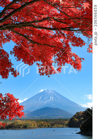 秋の風景 もみじ紅葉の精進湖畔から望む子抱富士 山梨県 秋の風景 もみじ紅葉の精進湖畔から望む子抱富士 山梨県 106566859