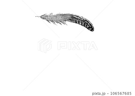 木版画で描かれた軽やかに宙を舞う羽毛 106567685