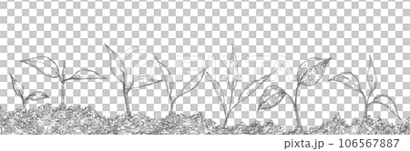 植物の発芽の手描きイラスト素材 106567887