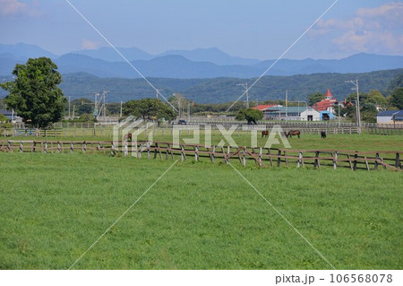 【動画あり】牧場の風景・サラブレッド・北海道 【動画あり】牧場の風景・サラブレッド・北海道 106568078