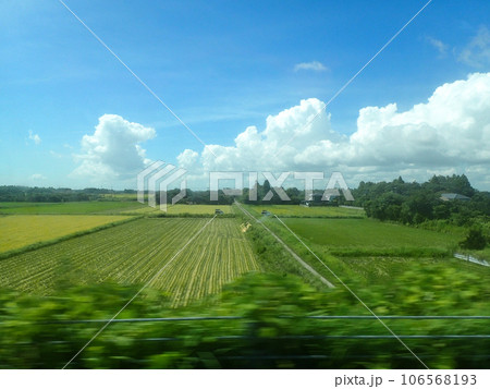 千葉の田園風景 千葉の田園風景 106568193