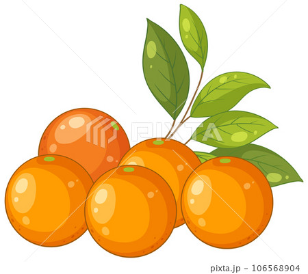 Fresh Oranges with Leaves Illustration Fresh Oranges with Leaves Illustration 106568904