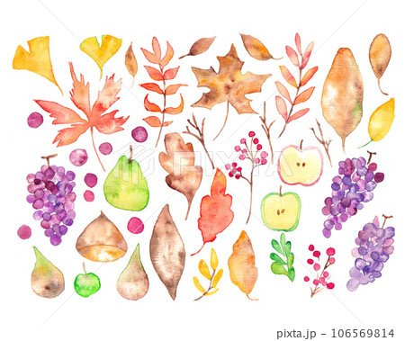 水彩画。水彩タッチの植物背景。秋の植物水彩イラスト。秋の水彩セット。 106569814