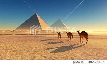 camel walking in desert 106570193