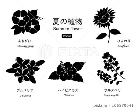 夏の花のシルエット　アイコンセット 106570641