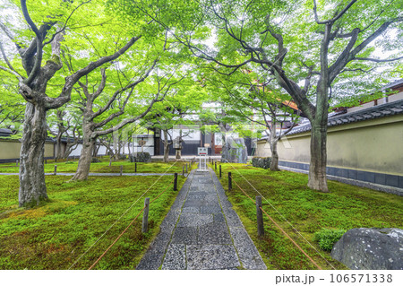 京都・紫野　大徳寺　黄梅院　表門入ってすぐの苔庭 106571338