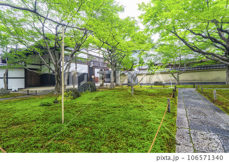 京都・紫野　大徳寺　黄梅院　苔庭　庫裡 106571340