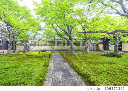 京都・紫野 大徳寺 黄梅院 苔庭 京都・紫野 大徳寺 黄梅院 苔庭 106571342
