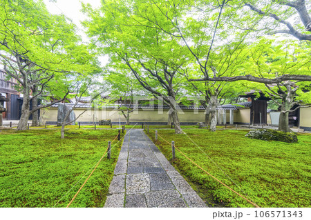 京都・紫野　大徳寺　黄梅院　苔庭 106571343