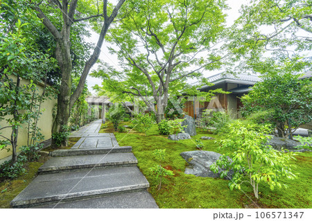京都・紫野　大徳寺　黄梅院　苔庭 106571347