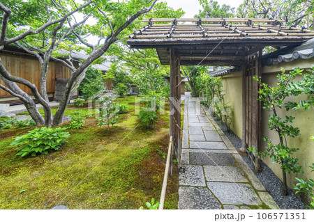 京都・紫野　大徳寺　黄梅院　苔庭 106571351