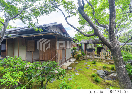 京都・紫野 大徳寺 黄梅院 苔庭と茶室 京都・紫野 大徳寺 黄梅院 苔庭と茶室 106571352