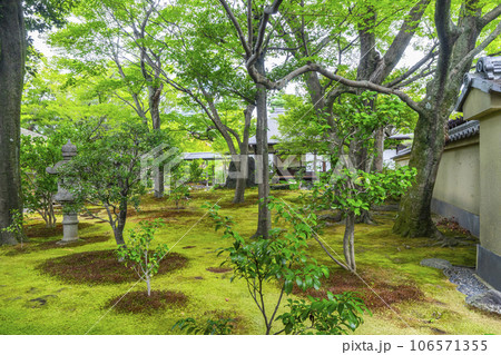 京都・紫野 大徳寺 黄梅院 直中庭 京都・紫野 大徳寺 黄梅院 直中庭 106571355