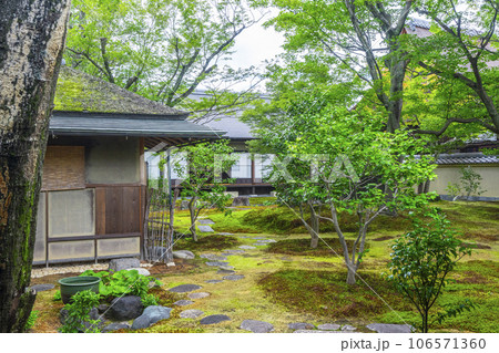 京都・紫野　大徳寺　黄梅院　直中庭 106571360