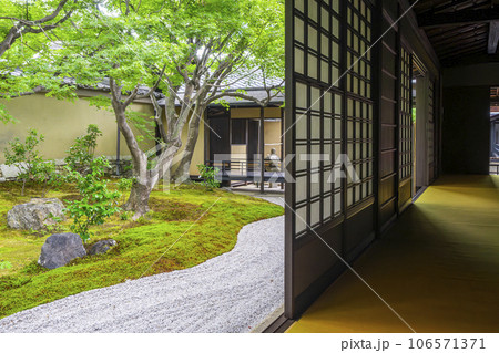 京都・紫野　大徳寺　黄梅院　雲池庭　作仏庭 106571371