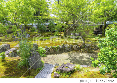 京都・紫野　大徳寺黄梅院　直中庭 106571442