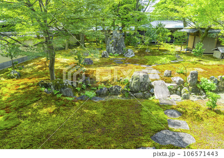 京都・紫野　大徳寺黄梅院　直中庭 106571443