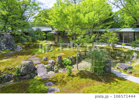 京都・紫野　大徳寺黄梅院　直中庭 106571444