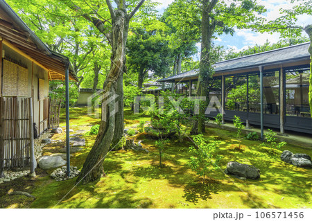 京都・紫野　大徳寺黄梅院　直中庭 106571456