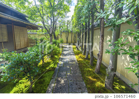 京都・紫野　大徳寺　黄梅院　苔庭 106571460