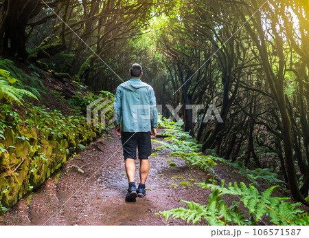 Adult male wandering on a path through the deep rain forest of Madeira Portugal. Generated AI 106571587