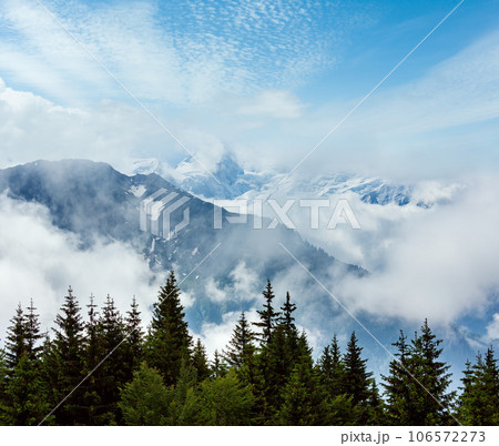 Mont Blanc mountain massif (view from Plaine Joux outskirts) 106572273