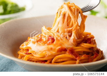 糸引きモッツァレラとトマトソースのスパゲッティー 糸引きモッツァレラとトマトソースのスパゲッティー 106573144